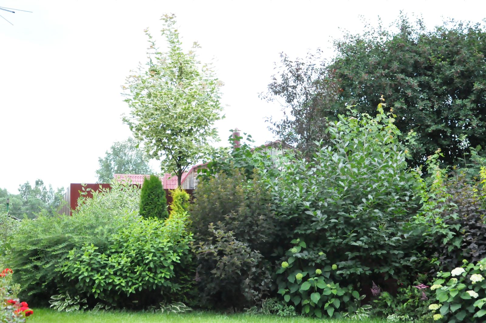 д. Громково - Уход за садом - 100% качество