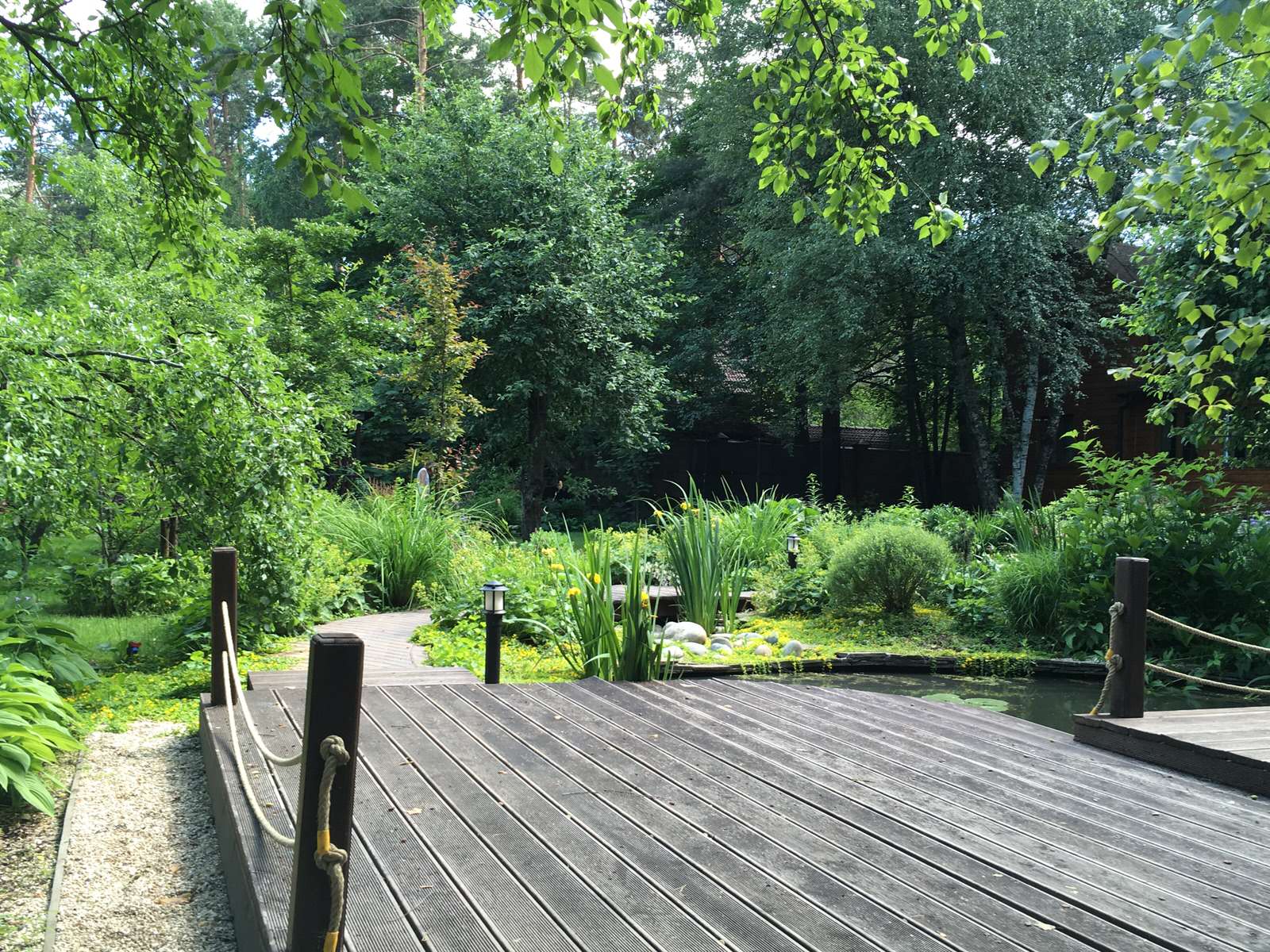 Белкин сад. Лето 2019