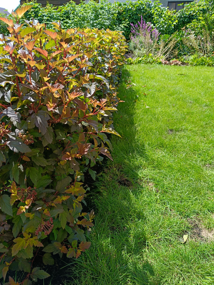 Сад в коттеджном поселке