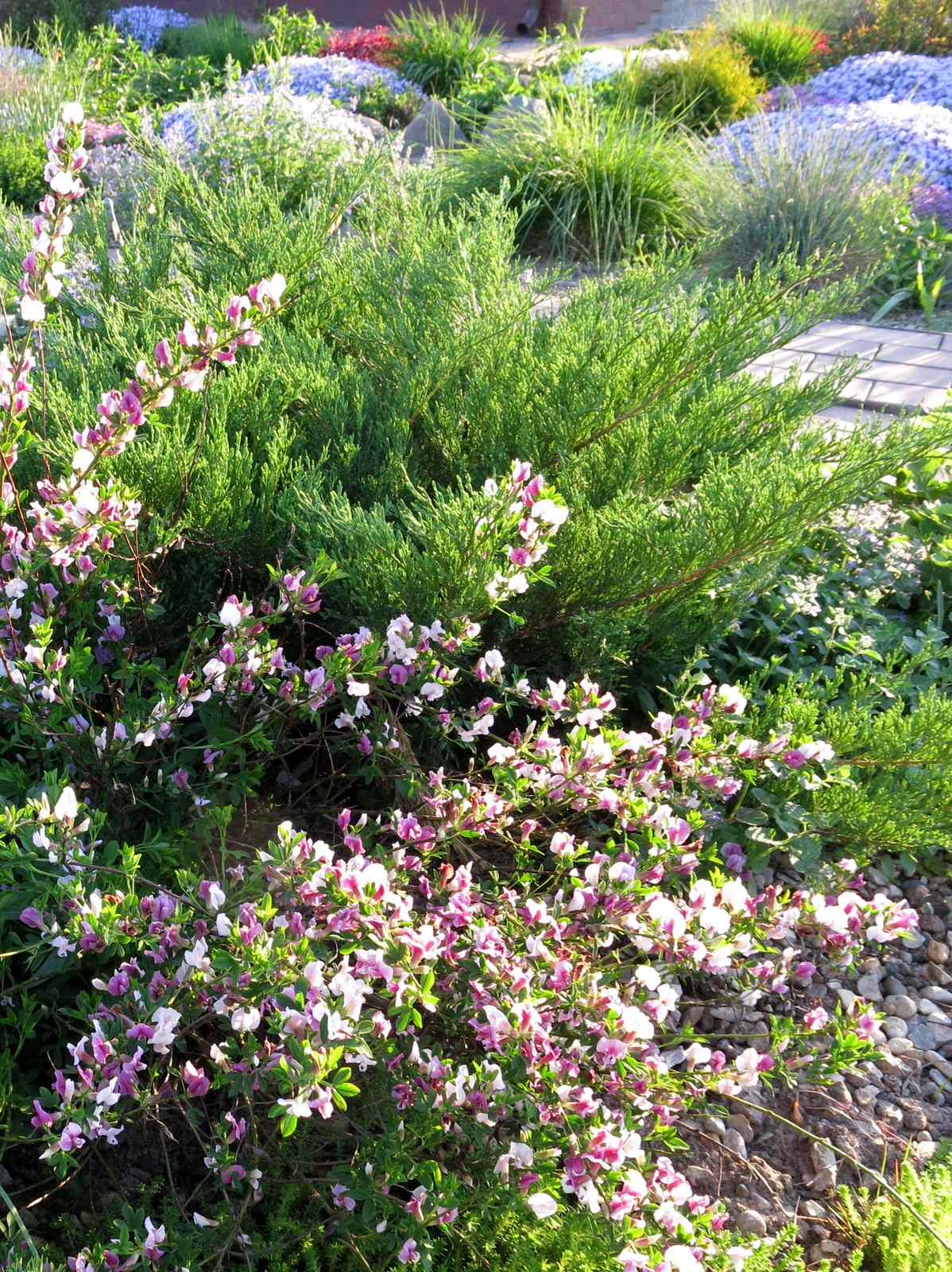 ТЕПЛЫШКО МОЕ. ВЕСНА.