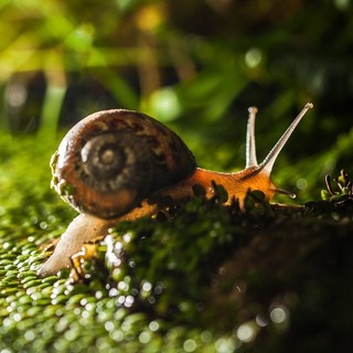 Елена Краснова