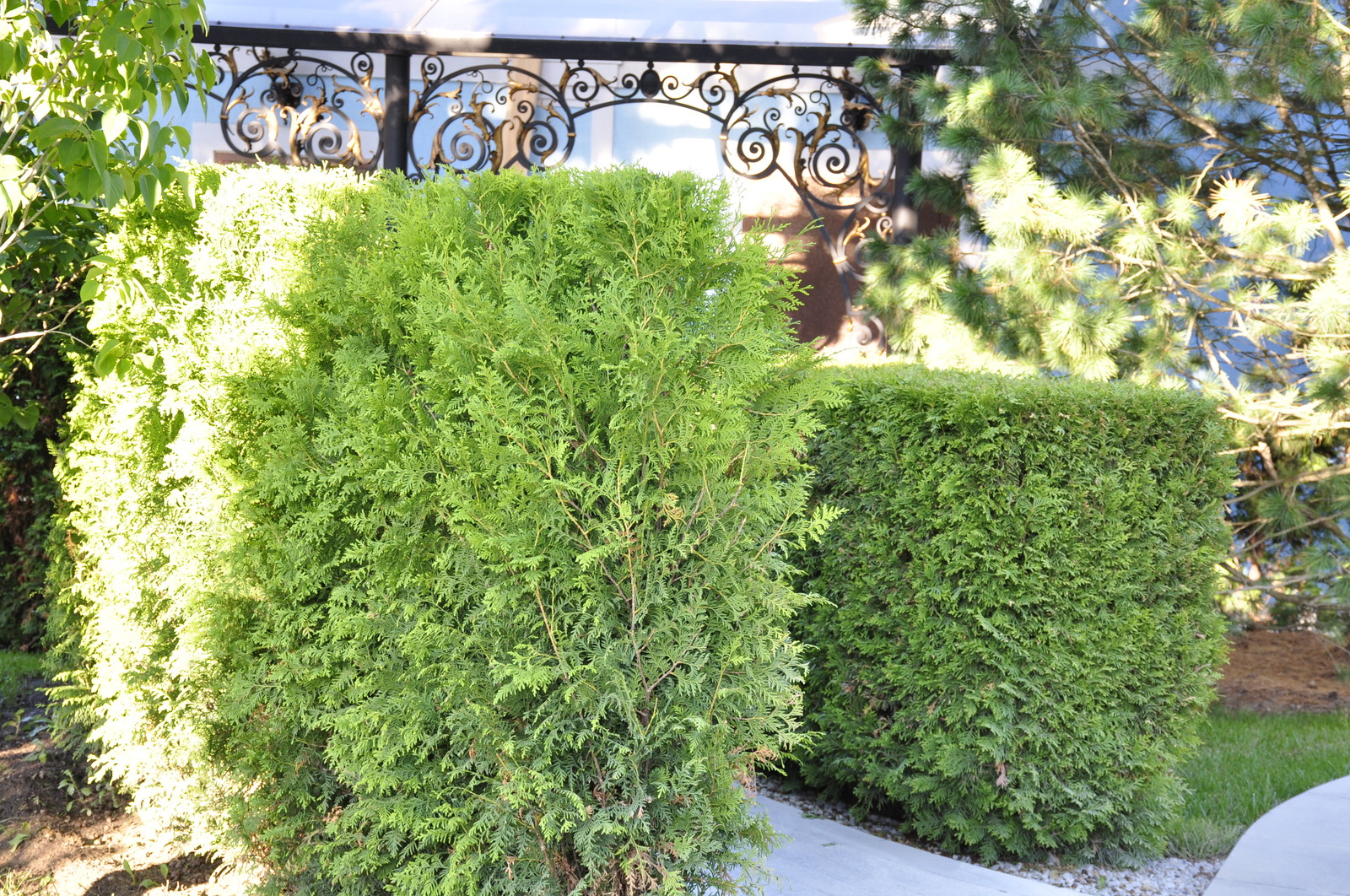 кп "Усово" - Уход за садом - 100% качество