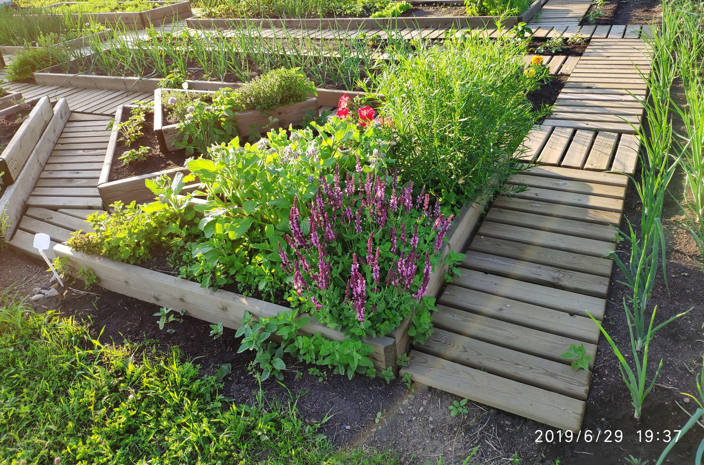 Решения для сада / дачи