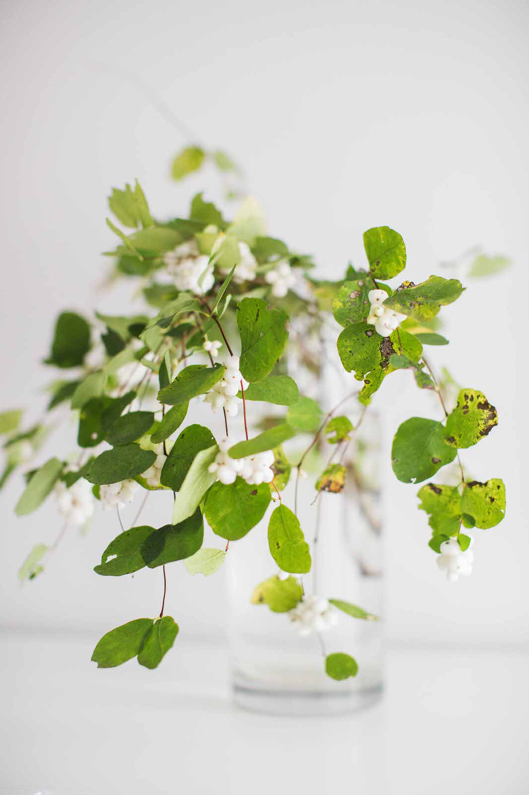 Квартира в ЖК "Искры счастья"