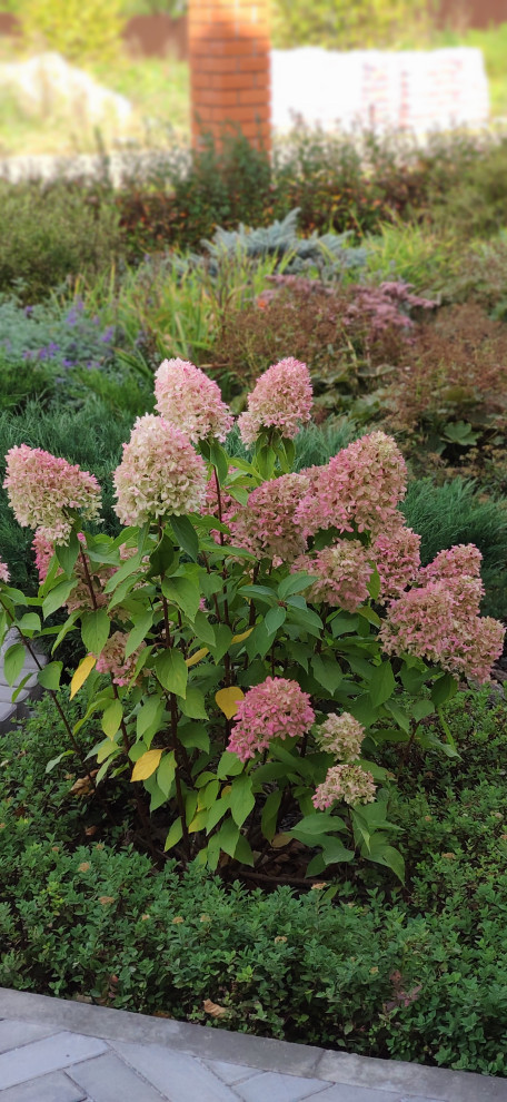 "Мурановские кружева"