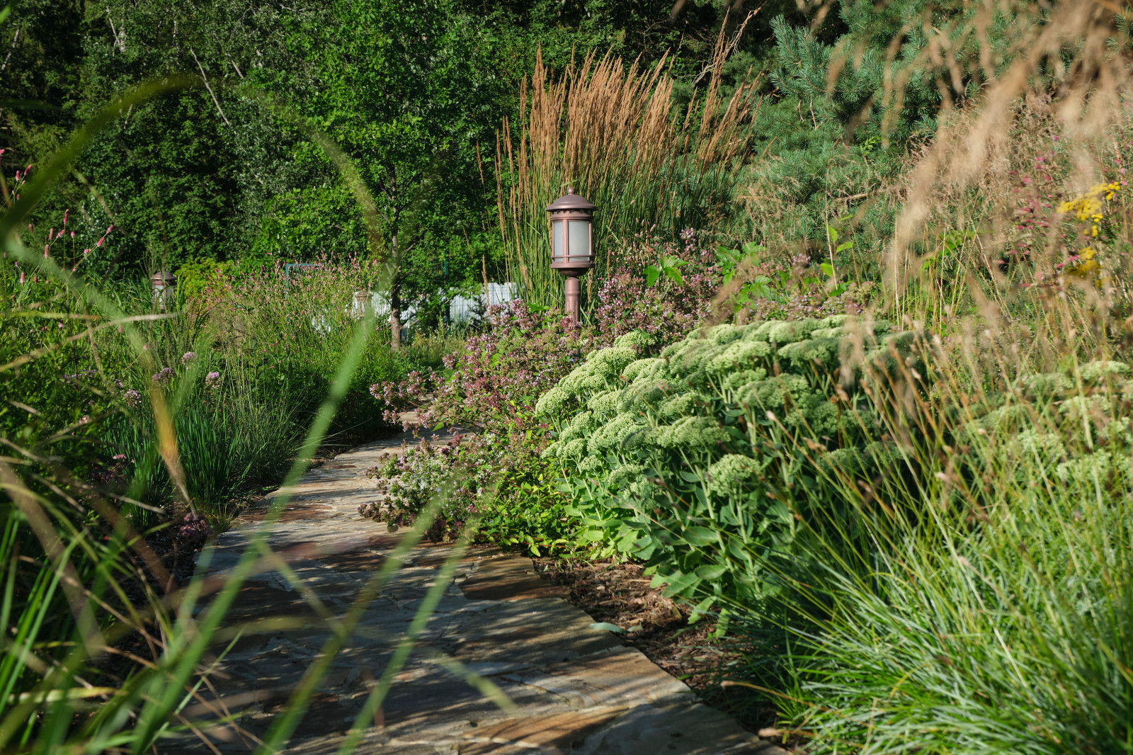 "Сад на Волге" в Тверской области