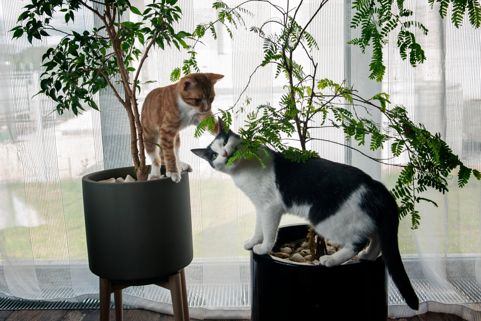 Дом в КП "Река-река", г. Звенигород