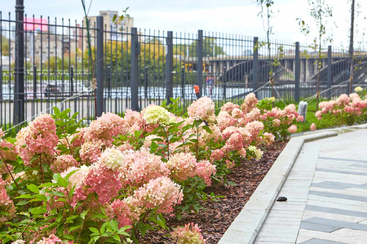 ЖК "Макаровский квартал" Элит-класс