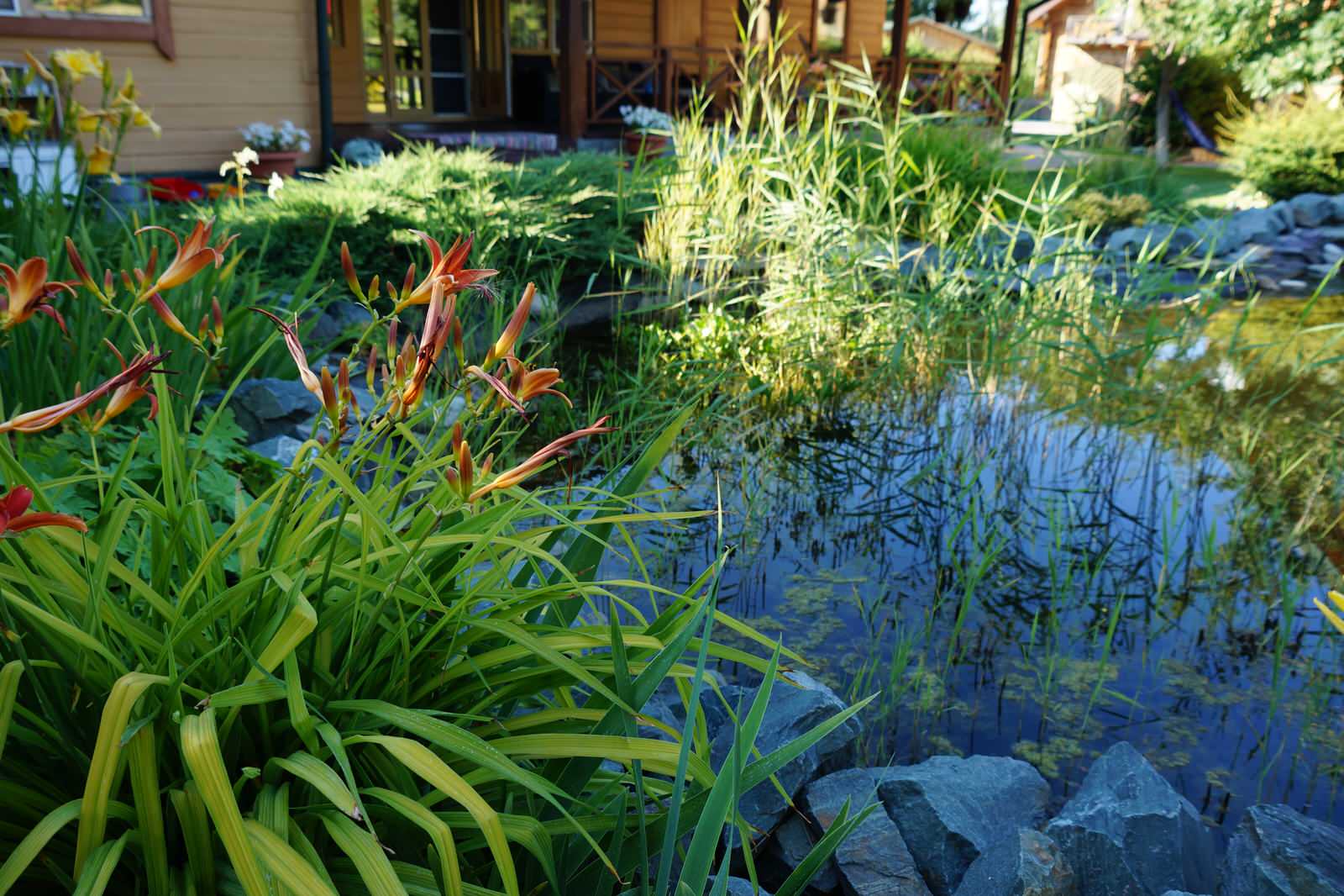 Обложка проекта: Сад с озером