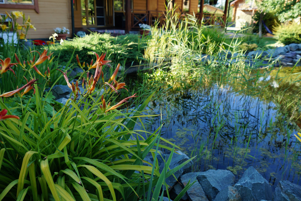 Обложка проекта: Сад с озером