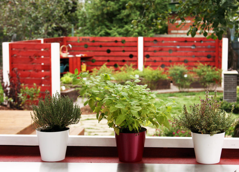 Нескучный сад