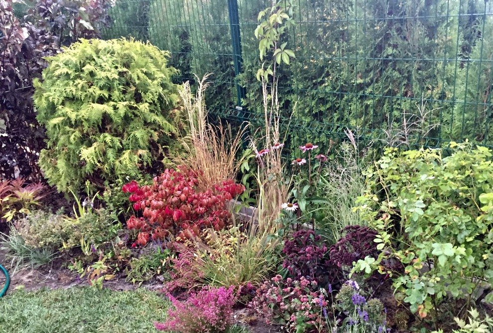 Ландшафт за 5 дней.