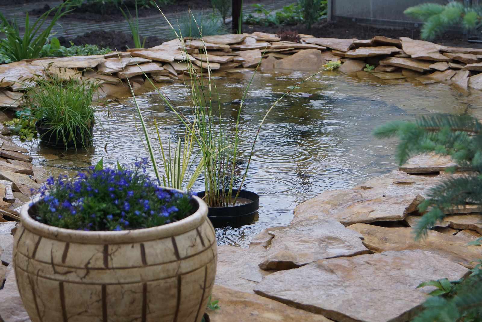 Садовый пруд в африканском стиле