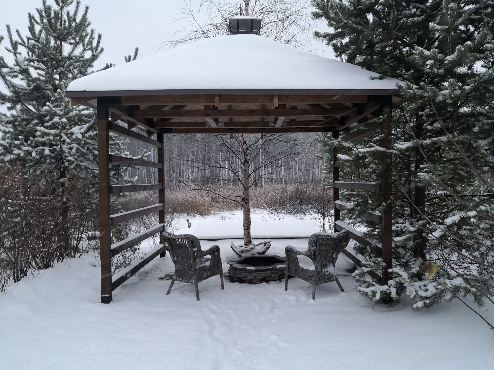 Обложка проекта: Перерождение