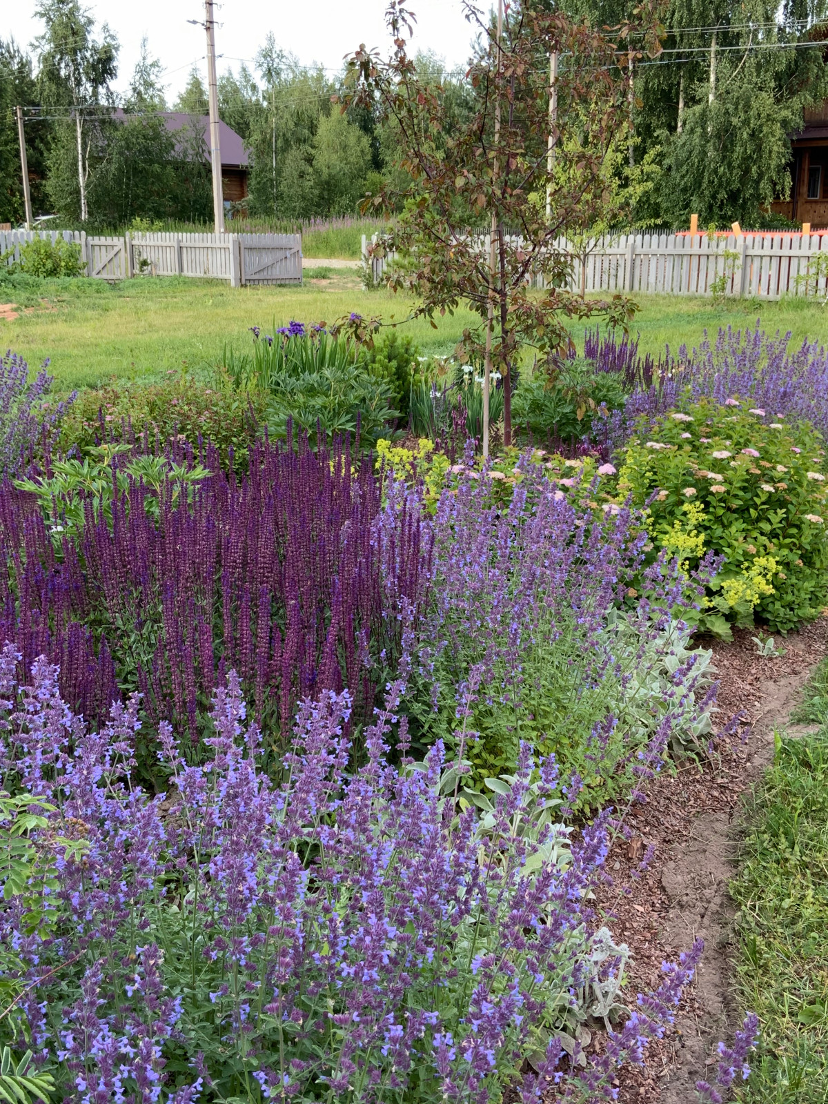 Проект "Волга"