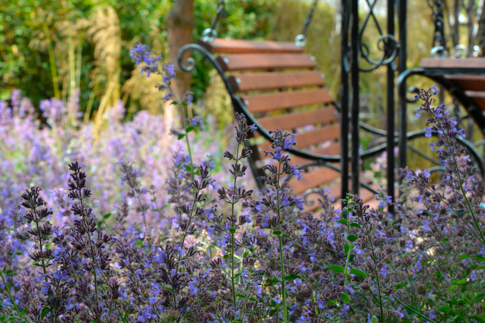 MFS2019 Silver проект "Солнечная тропа"