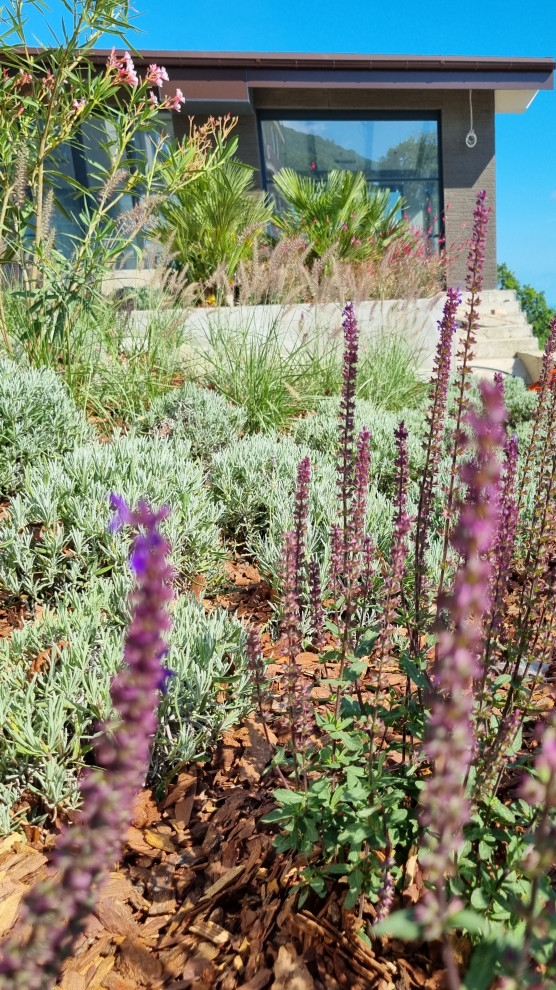 В лучах южного солнца.