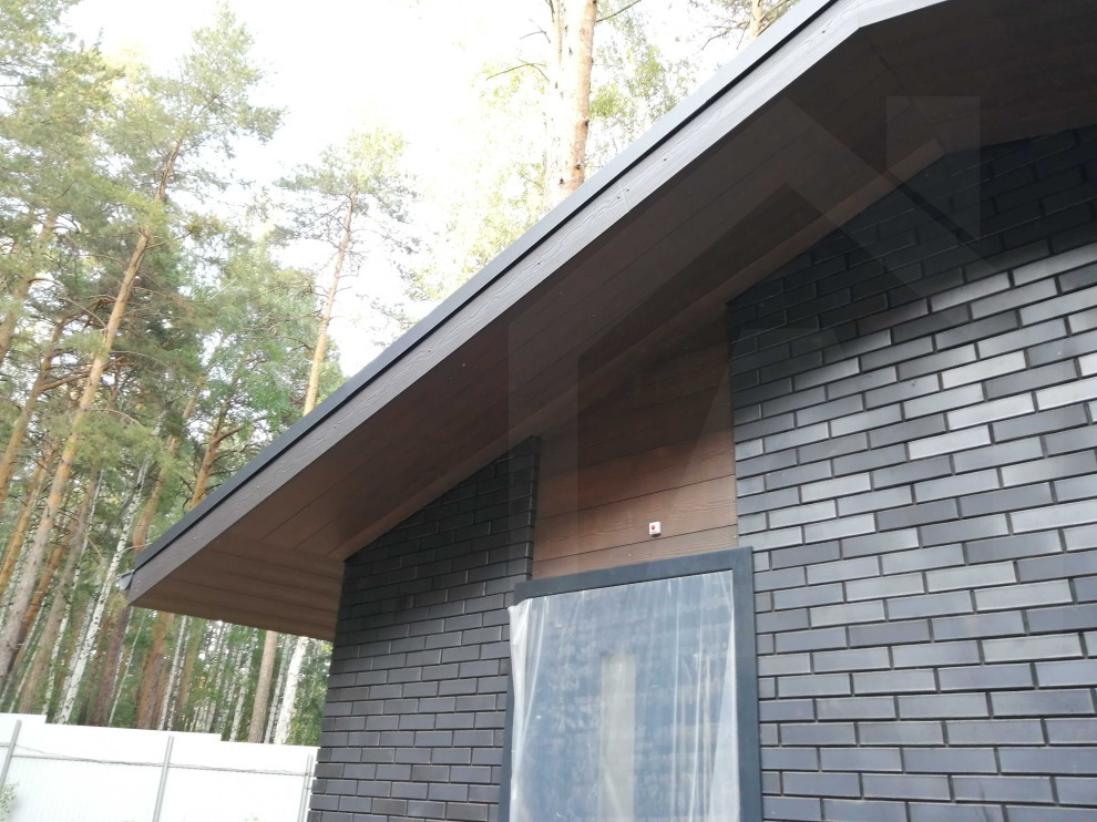 Обложка проекта: "Черно-серый" в лесу