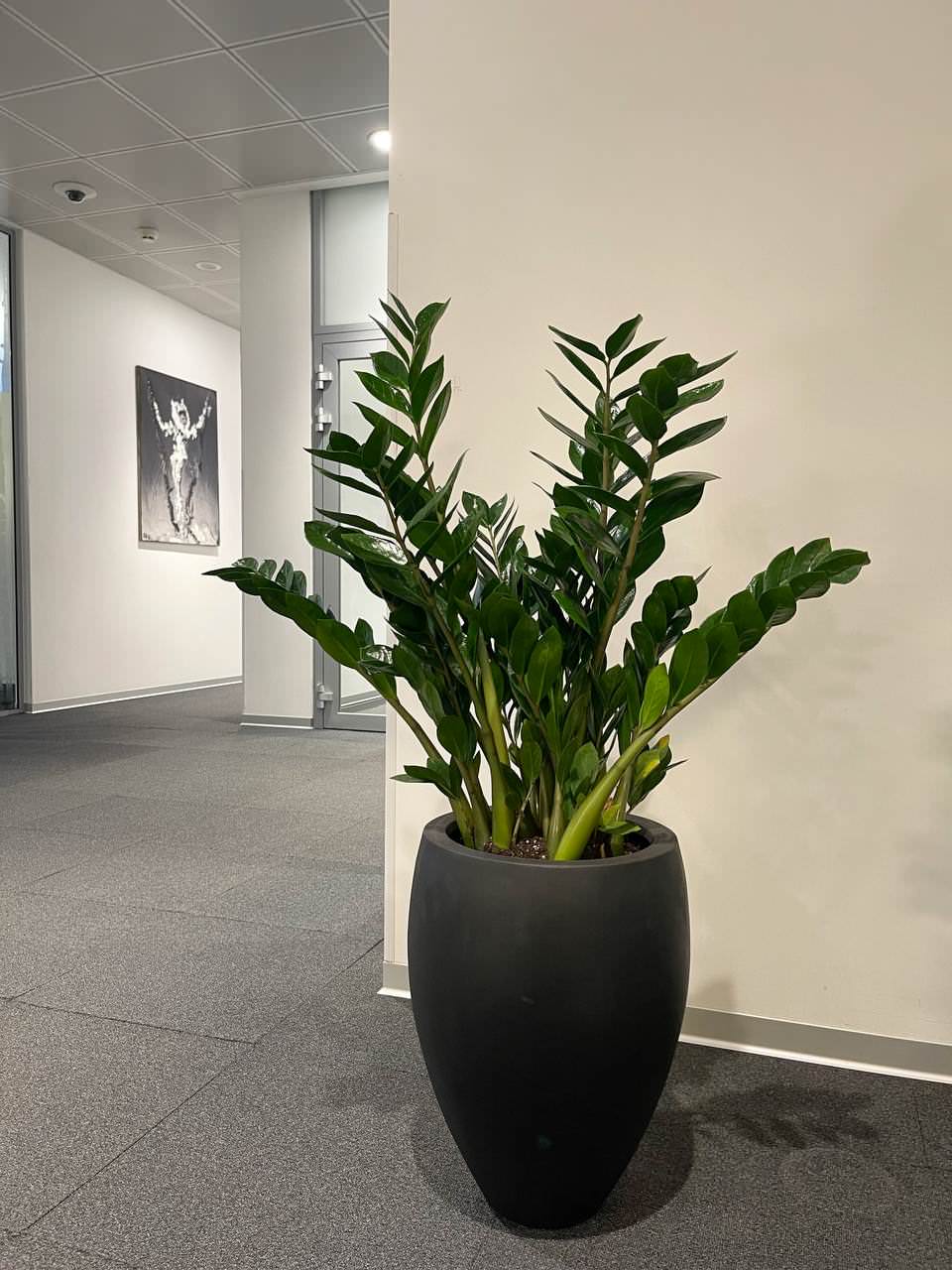 Офис Технодинамика г. Москва