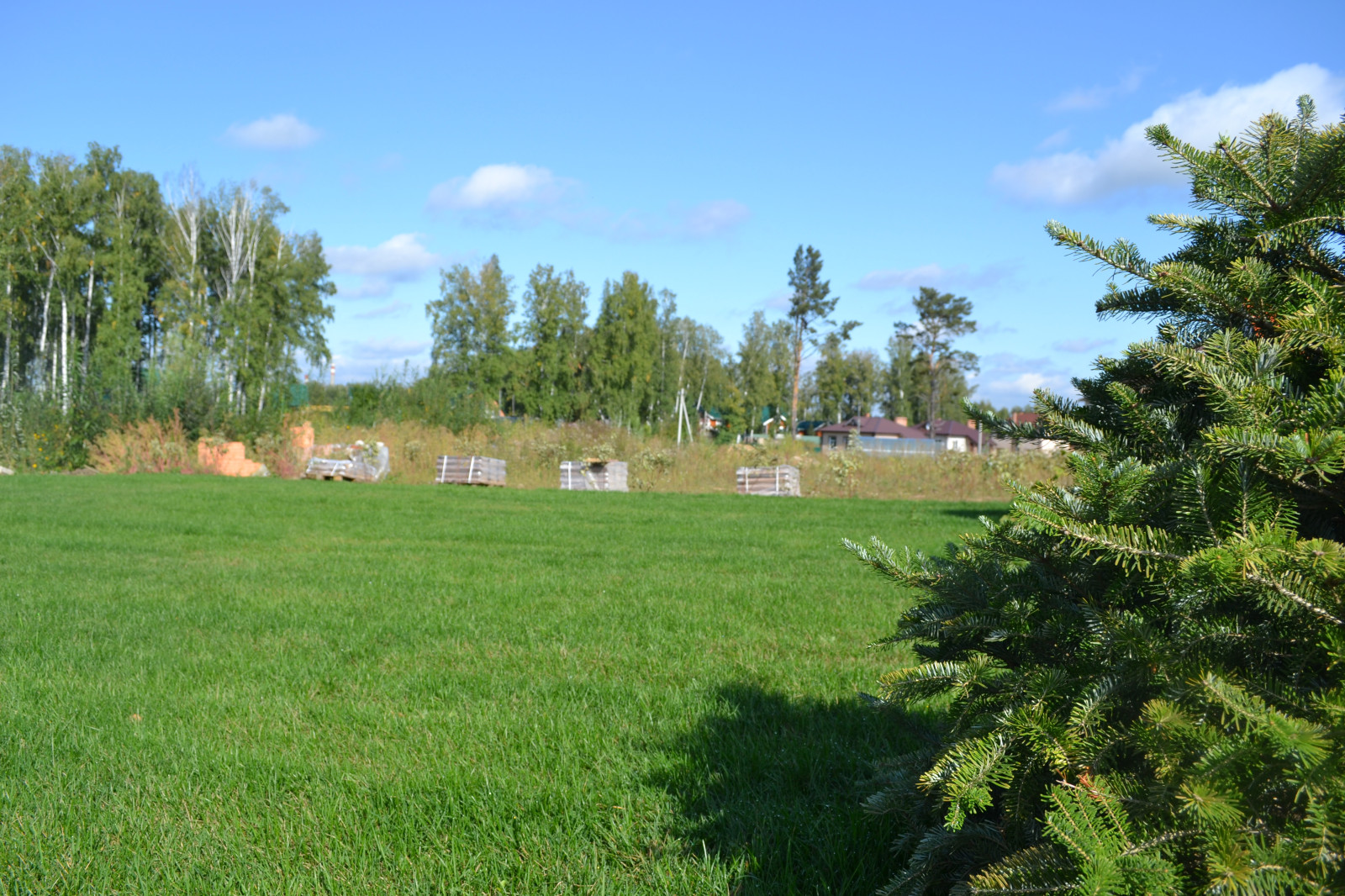 Современный сад в Академгородке