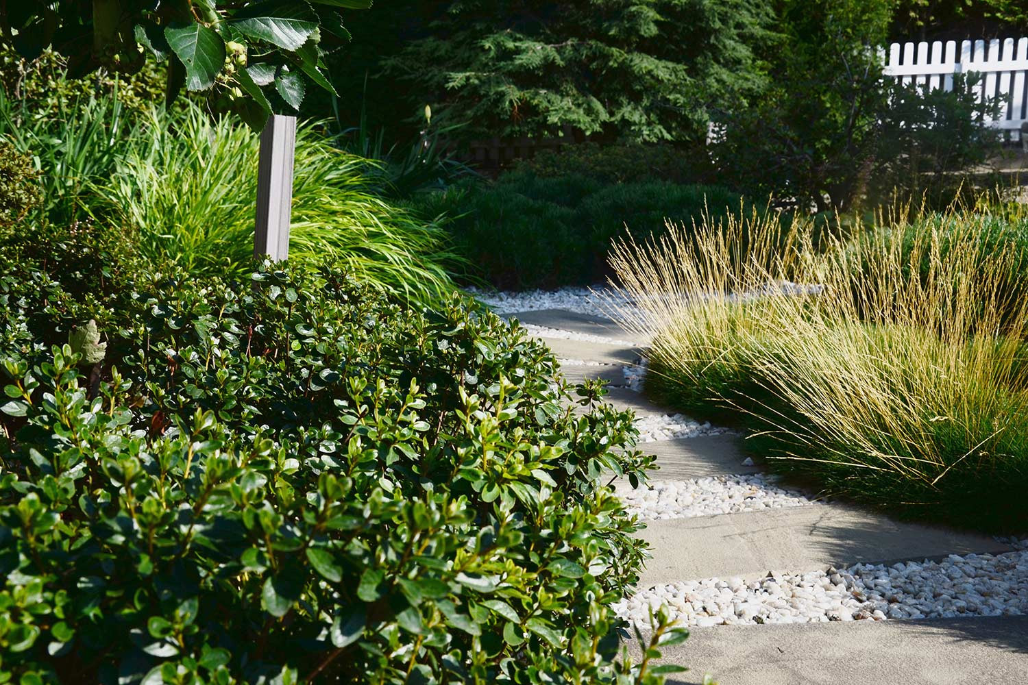 Современный сад в КП "Бенилюкс" вилла 2