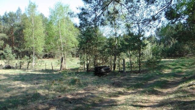 Загородный дом. Брест. Беларусь. 2015 год.
