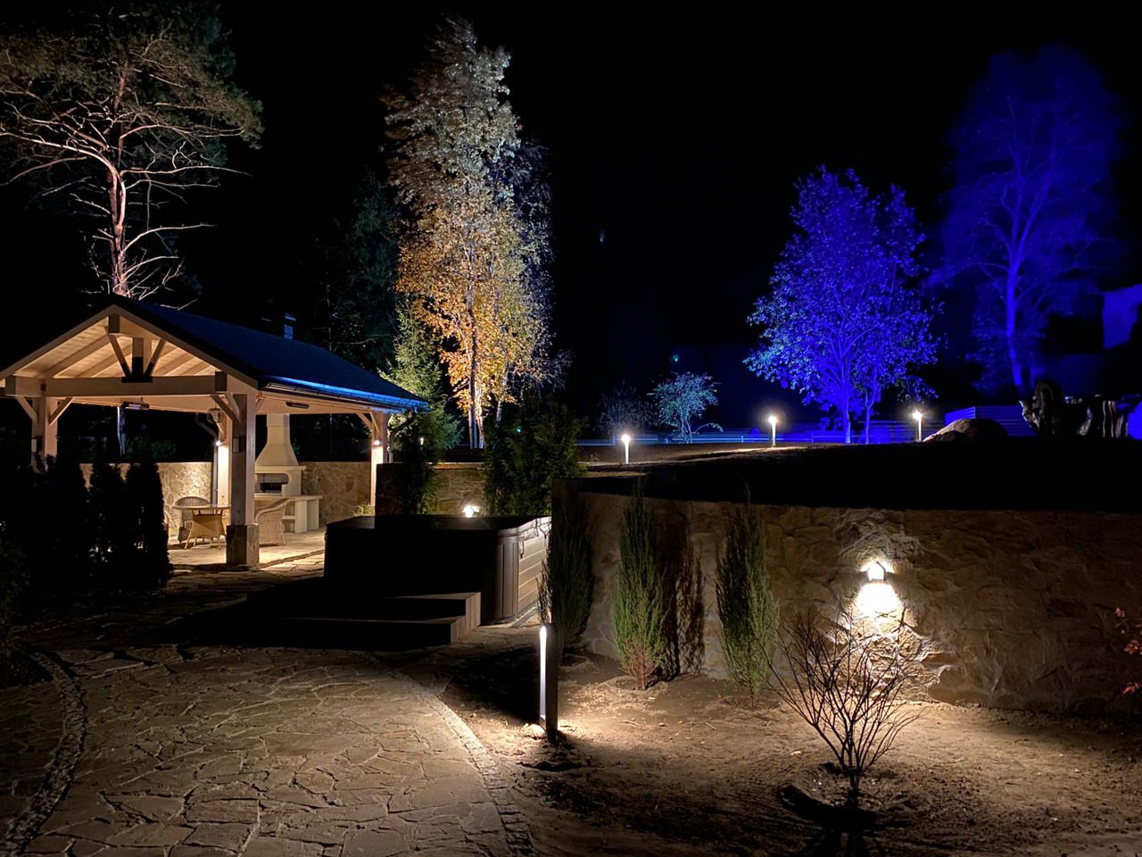 Сад для черной кошки и белого кота