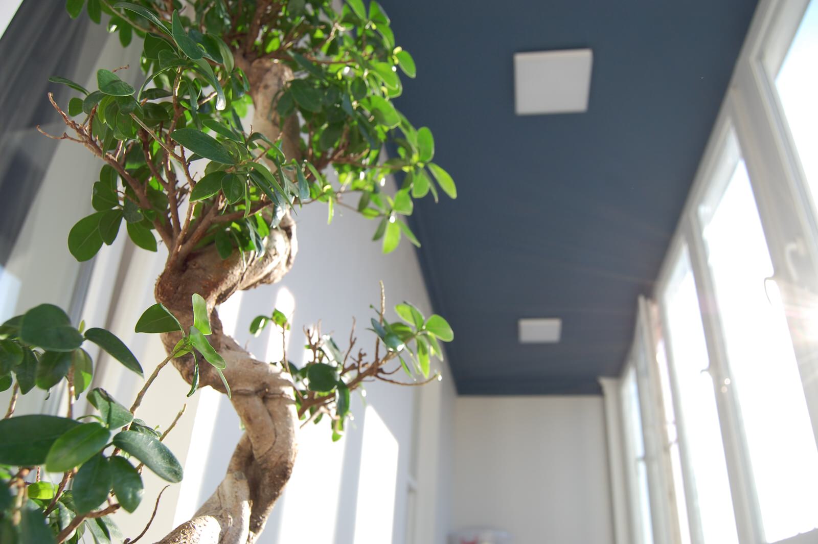 Квартира 192м2 на Мосфильмовской улице