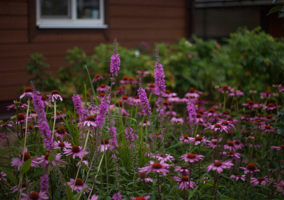 "Обитель ветров". Сад в Тверской области, 1 гектар.