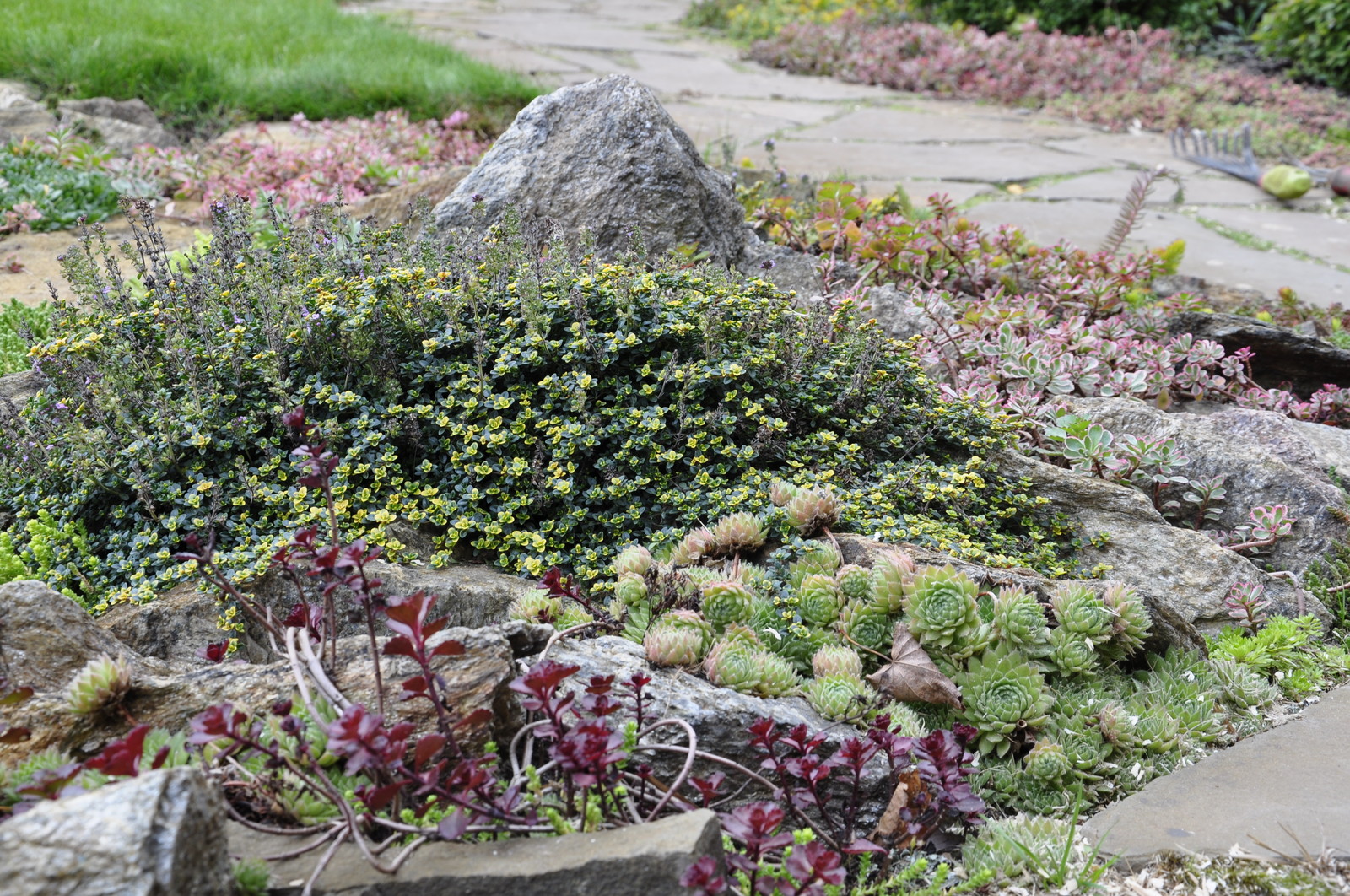 д. Коровино - Уход за садом - 100% качество