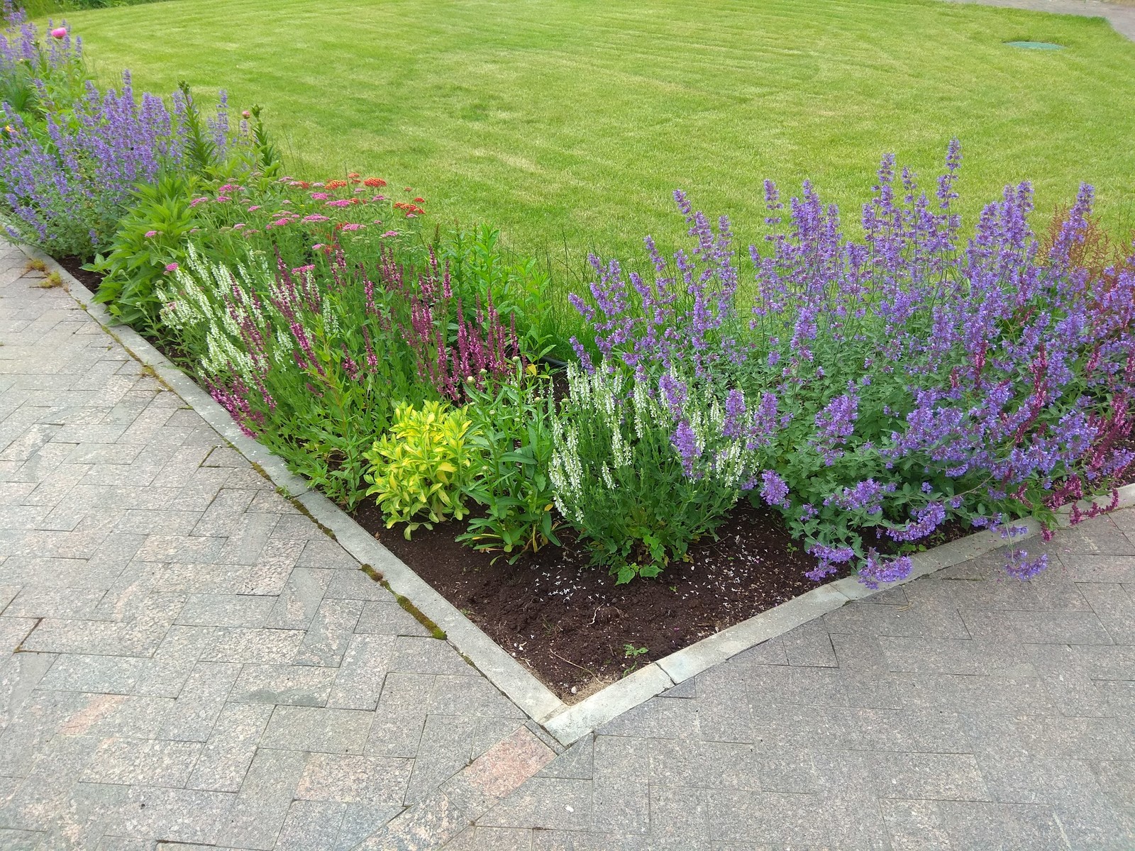 КП Новая Рига