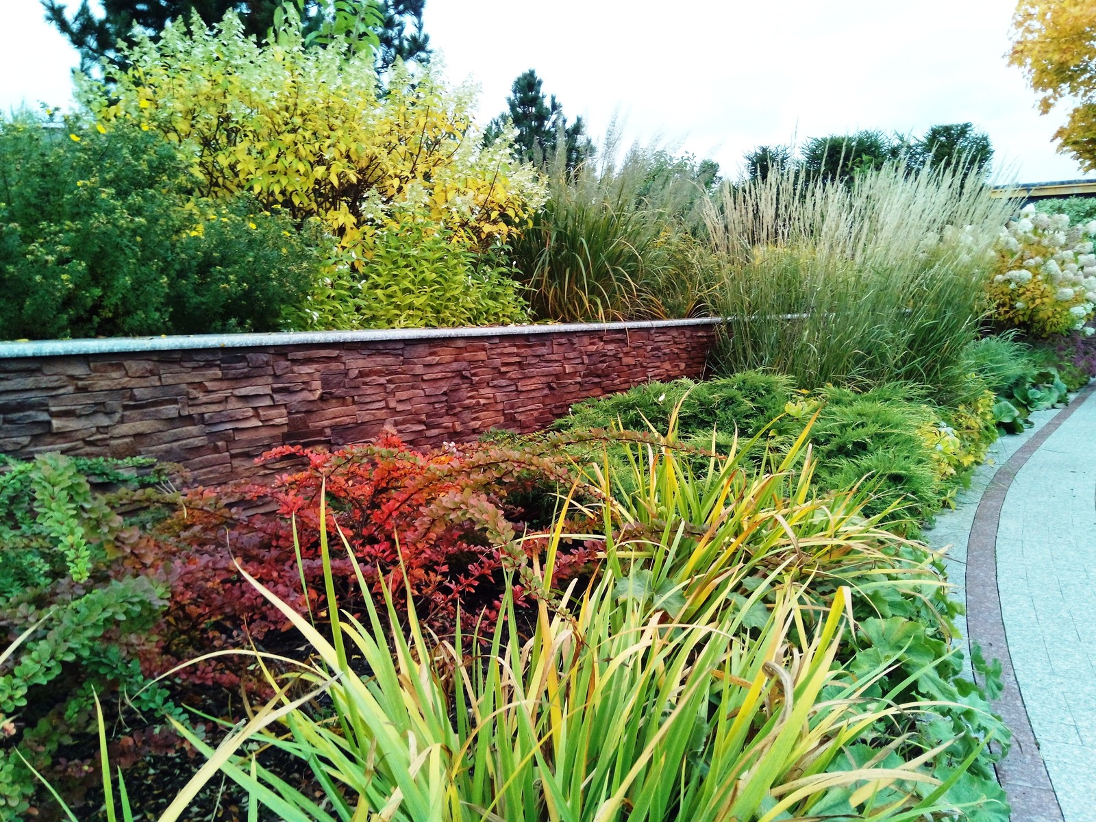 кп "Милениум" - Профессиональный уход за садом - 100% качество!