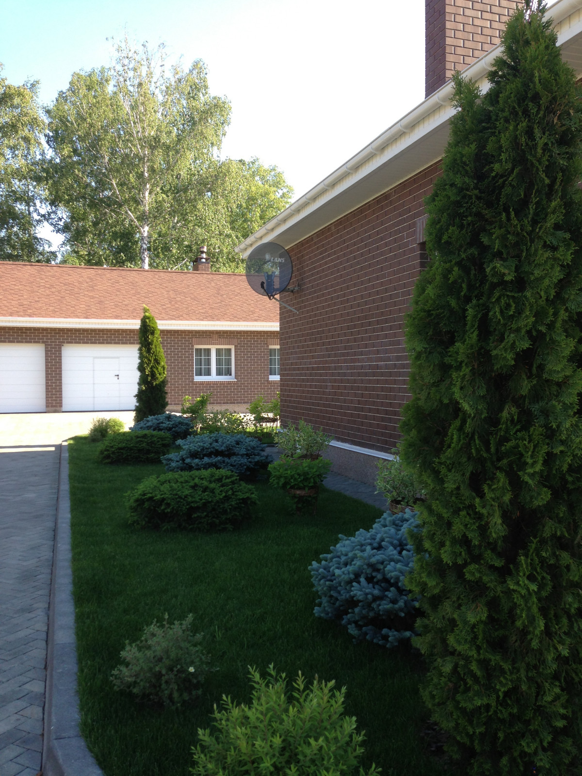 Вавиловец 1