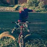 Елена Хохлова