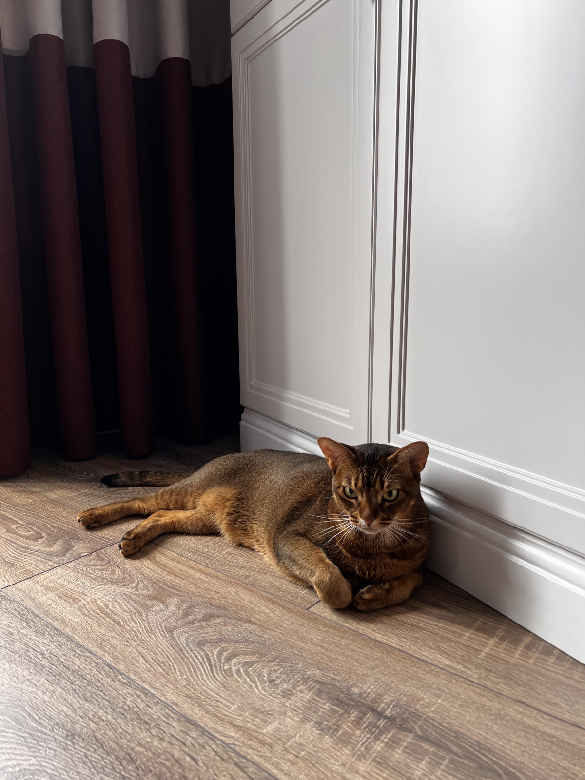 Алые Паруса