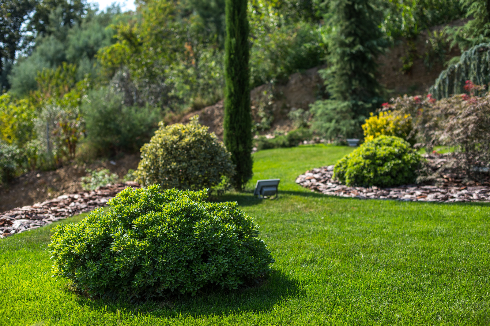 Ландшафтный Дизайн Олимпийский Сочи