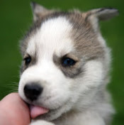 Карина Камалетдинова