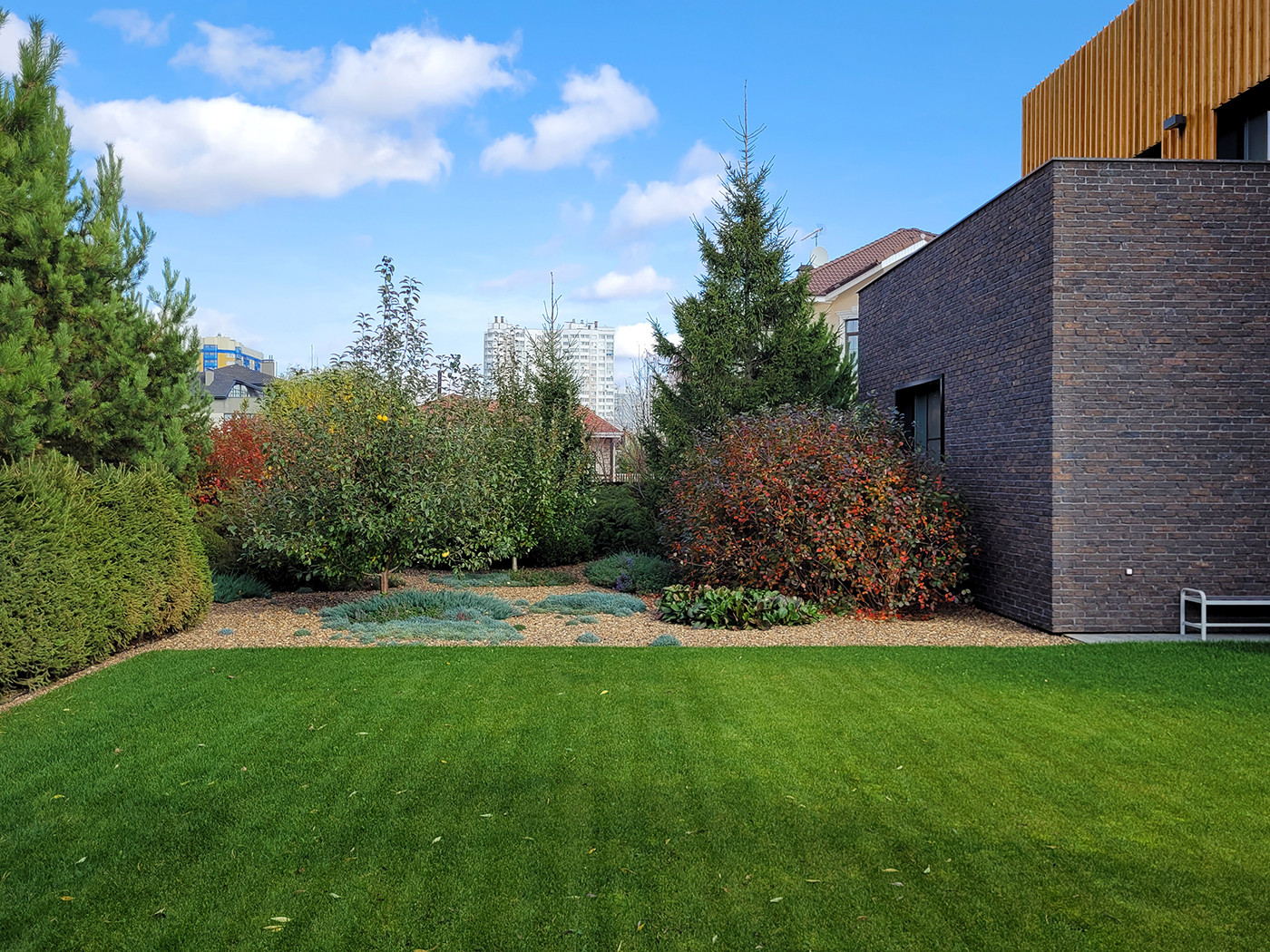 сад в городе