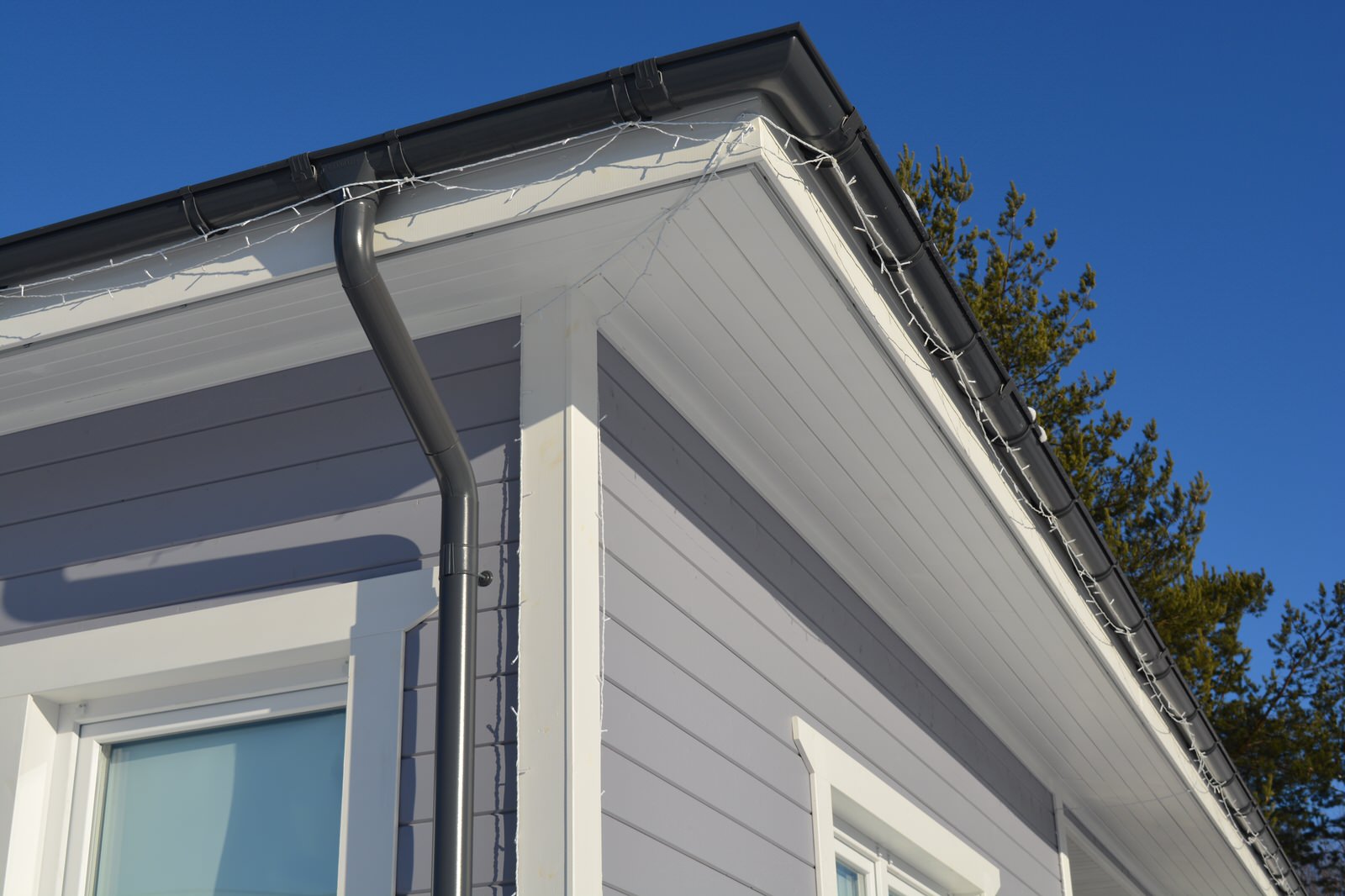 Одноэтажный загородный дом