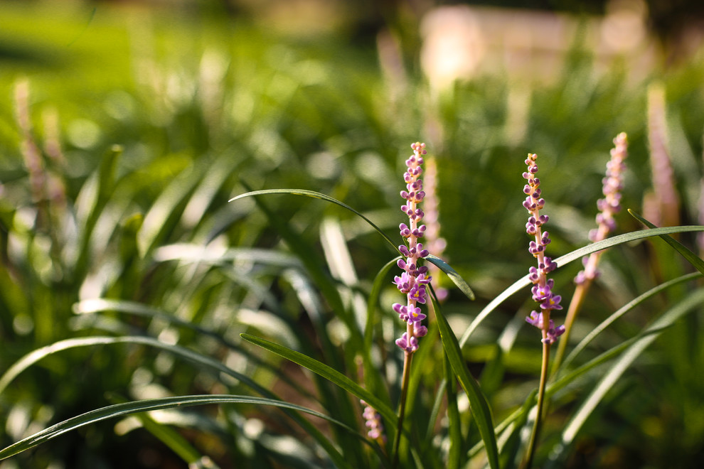 Обложка проекта: Загородный клуб