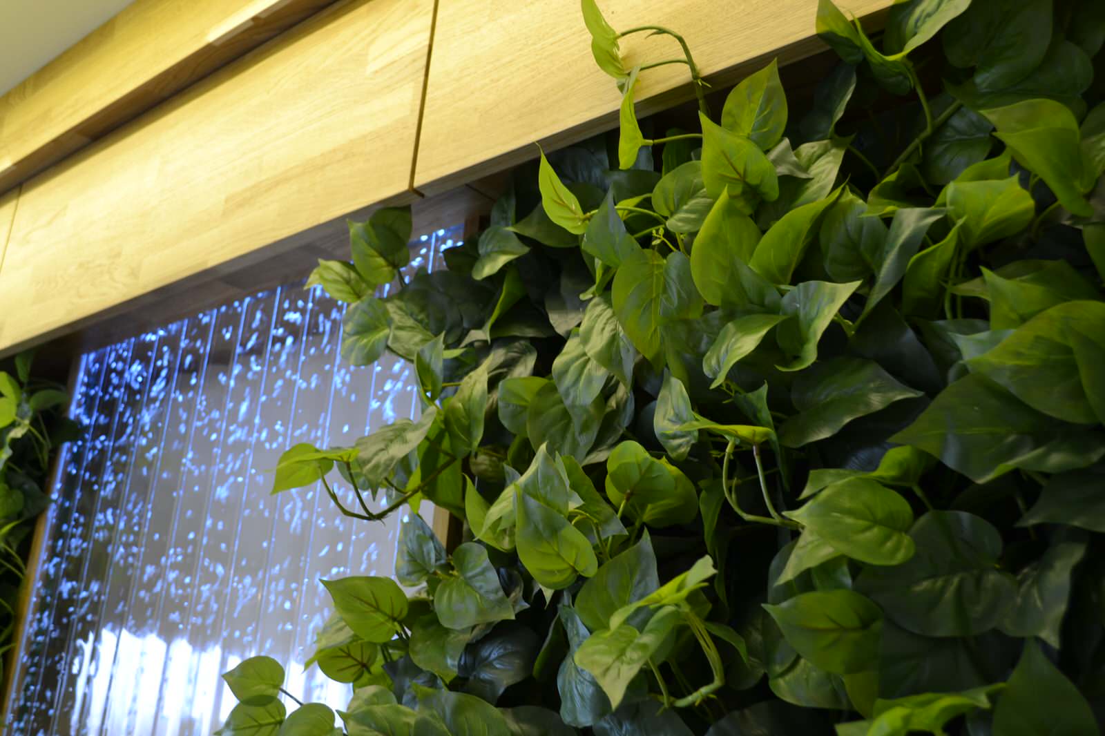 Лиана Чистякова