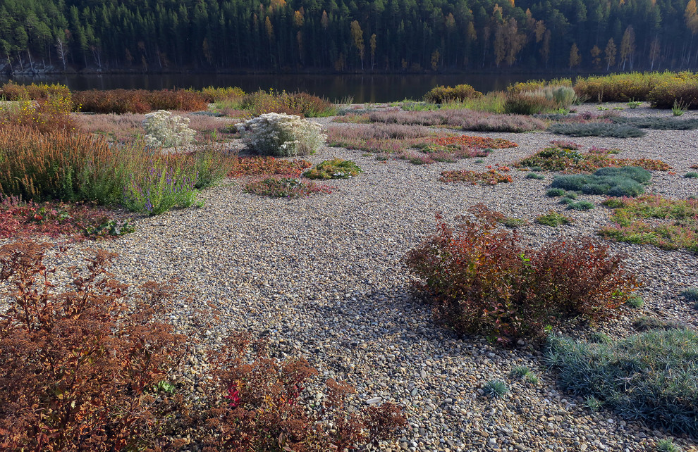 Полынный берег