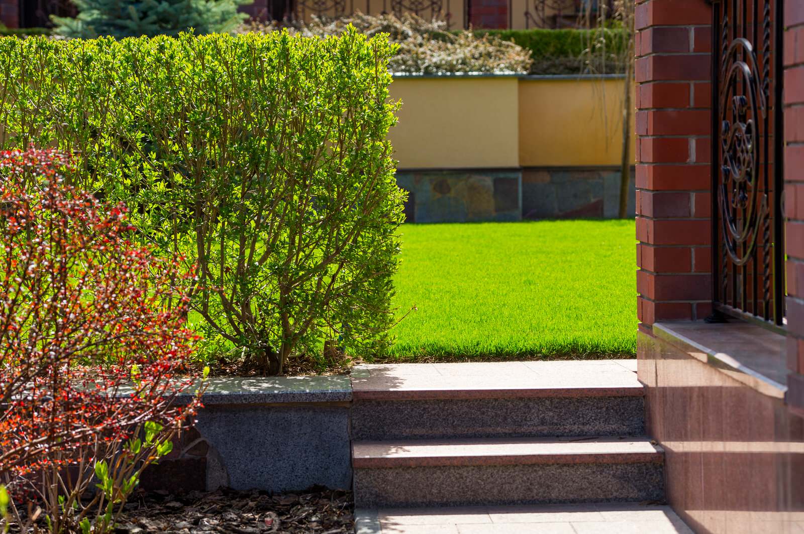 Обложка проекта: Частный сад 4