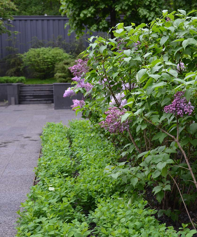 Сад пять уровней комфорта