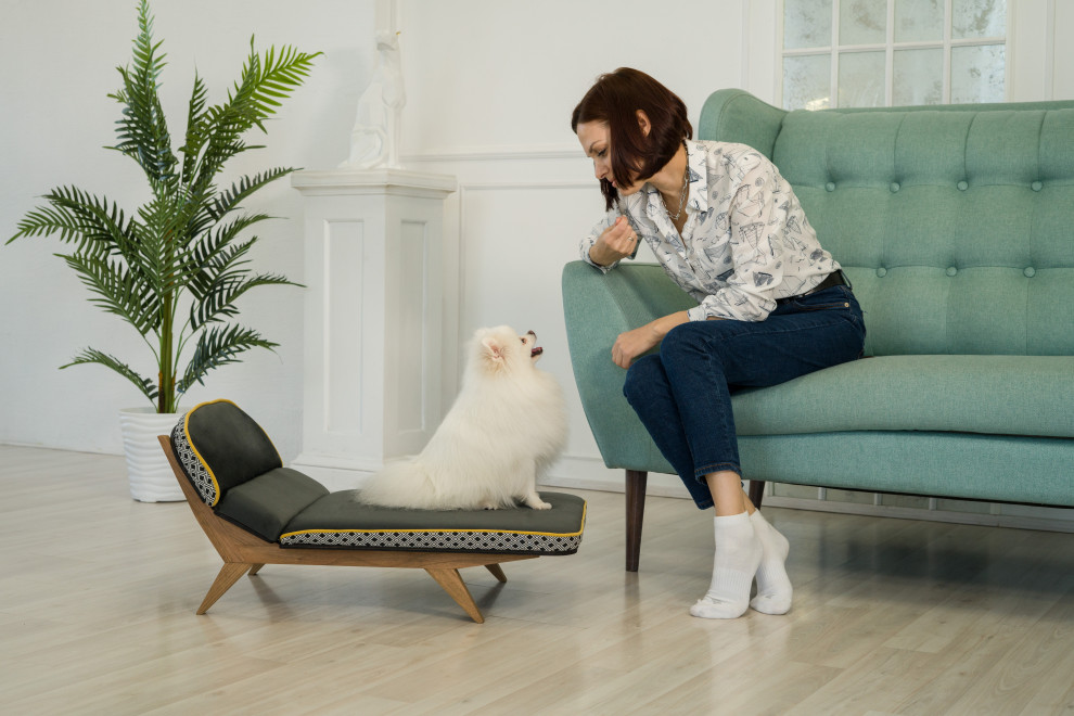 Авторская софа для собак - LIMA