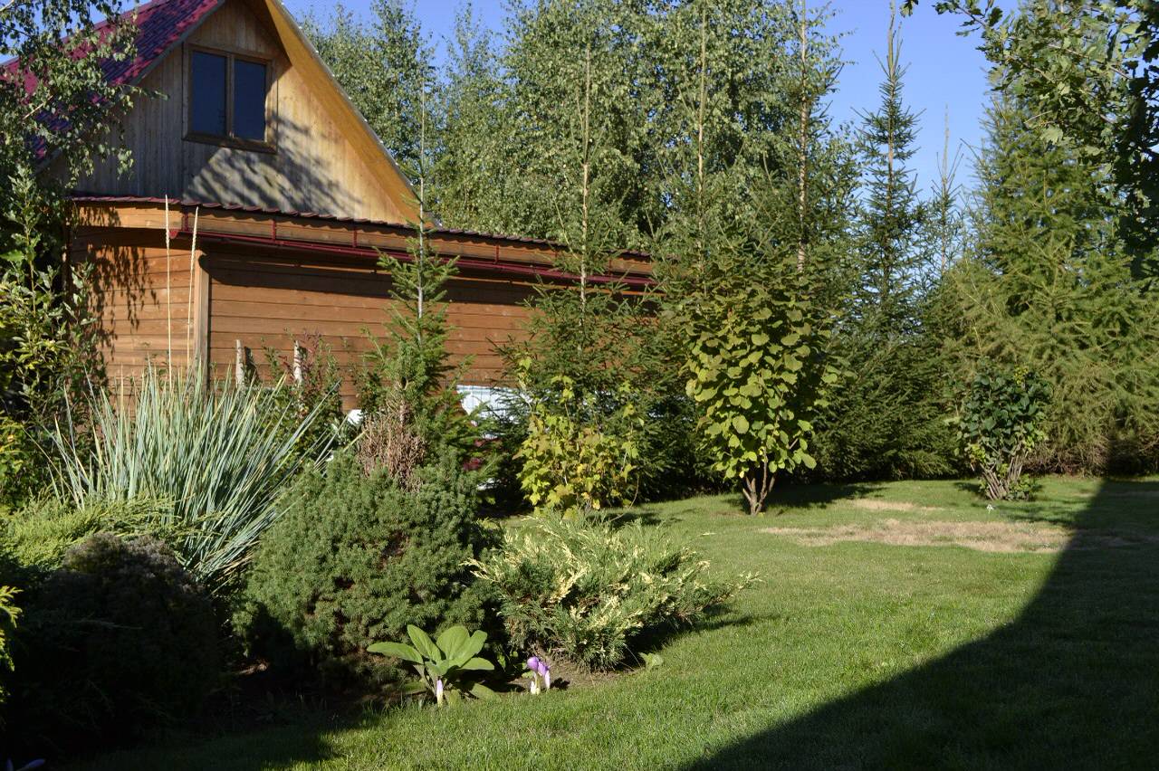 Обложка проекта: Бюджетная классика