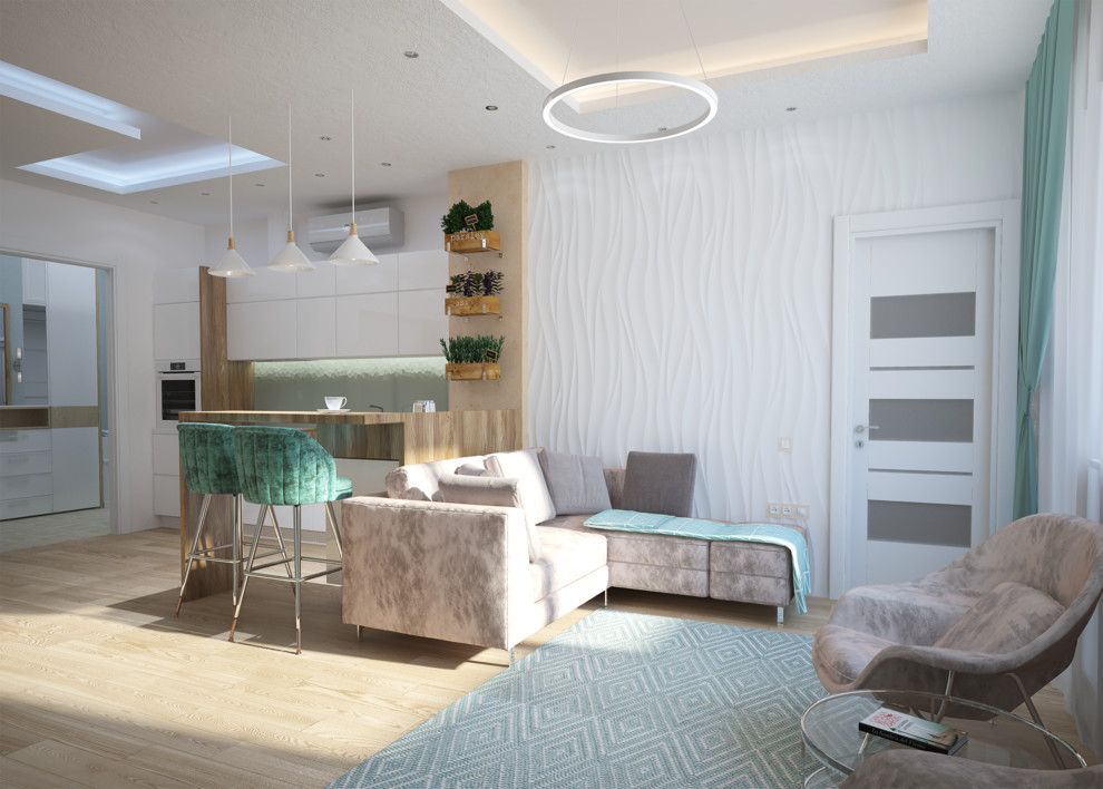 Кухня-гостиная с входной зоной