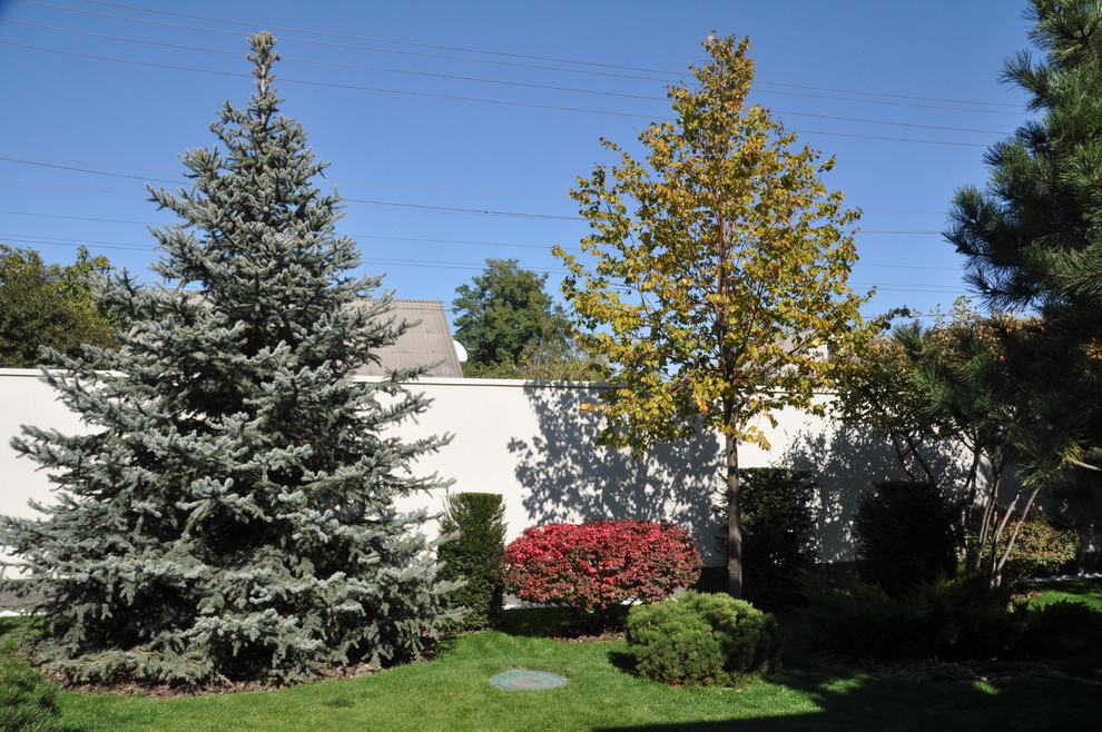 Private modern garden / Частный современный сад.