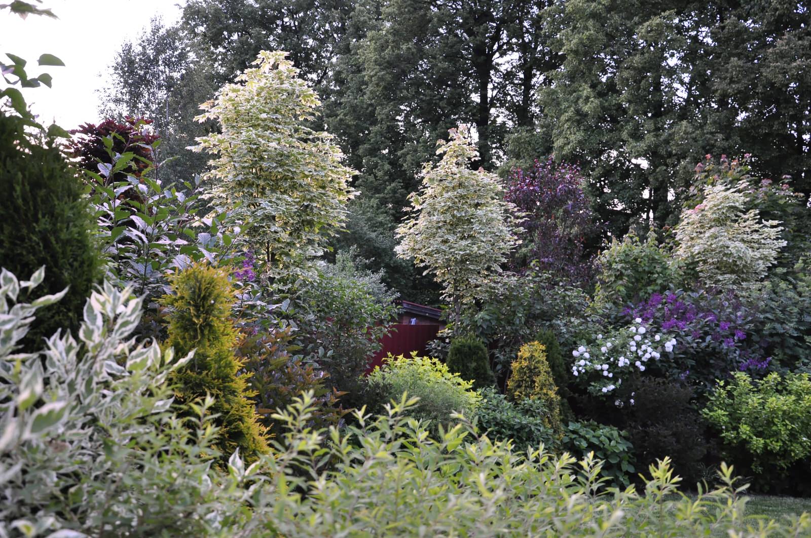 д. Громково - Уход за садом - 100% качество