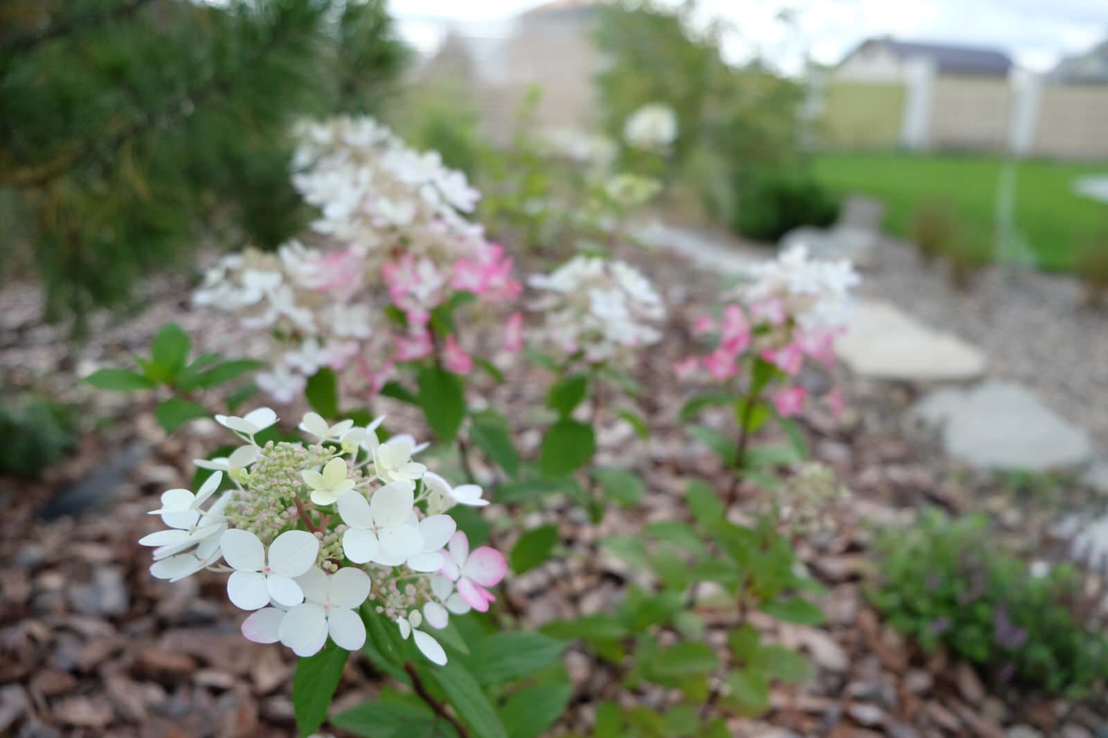 ДЫХАНИЕ ВЕТРА